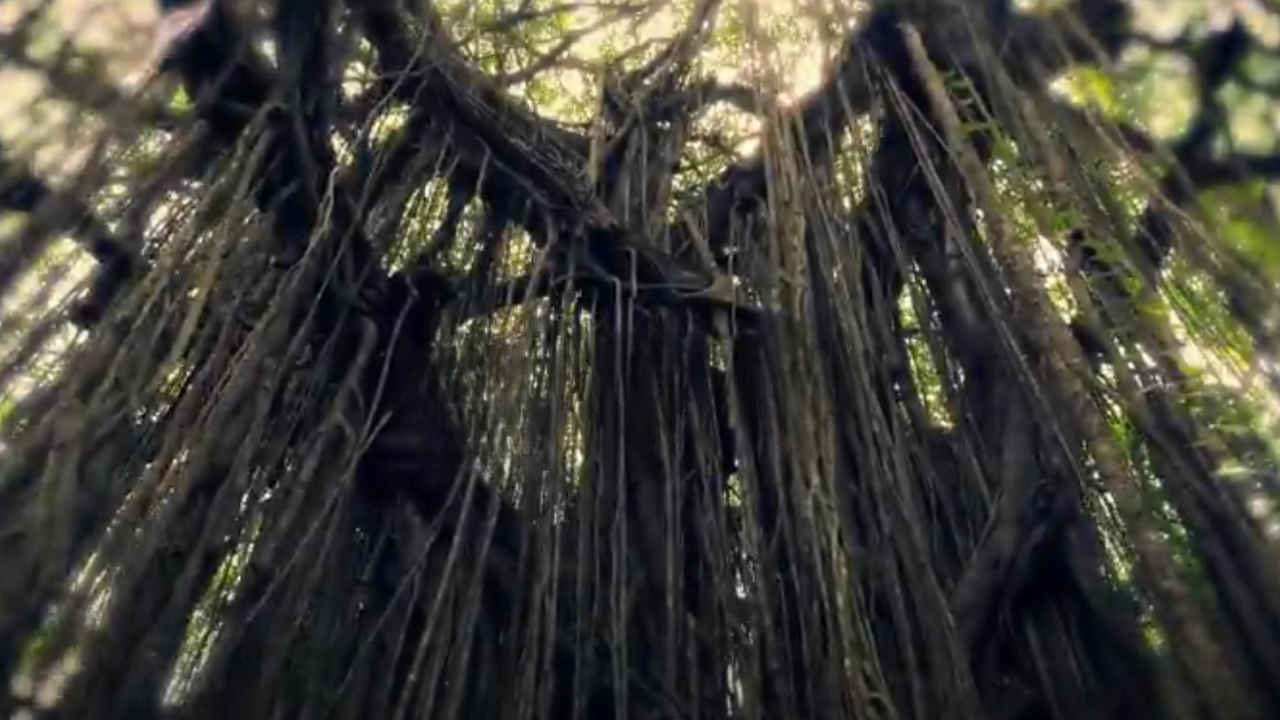 Maharaja-Drishyam सबकी बाप है 2 घंटे 15 मिनट की ये वेब सीरीज.. सस्पेंस-थ्रिल का ऑवरडोज, पुलिस भी नहीं सुलझा पाई रहस्य