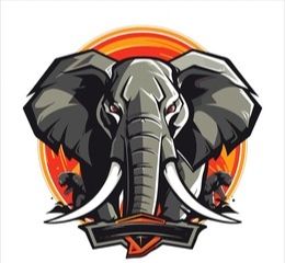 Team hathi