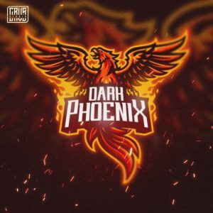 TEAM Pheonix