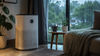 3 air purifier settings you should use during the rainy season