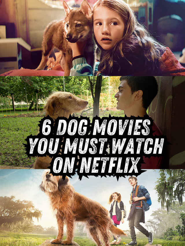 6 dog movies you must watch on Netflix (1)