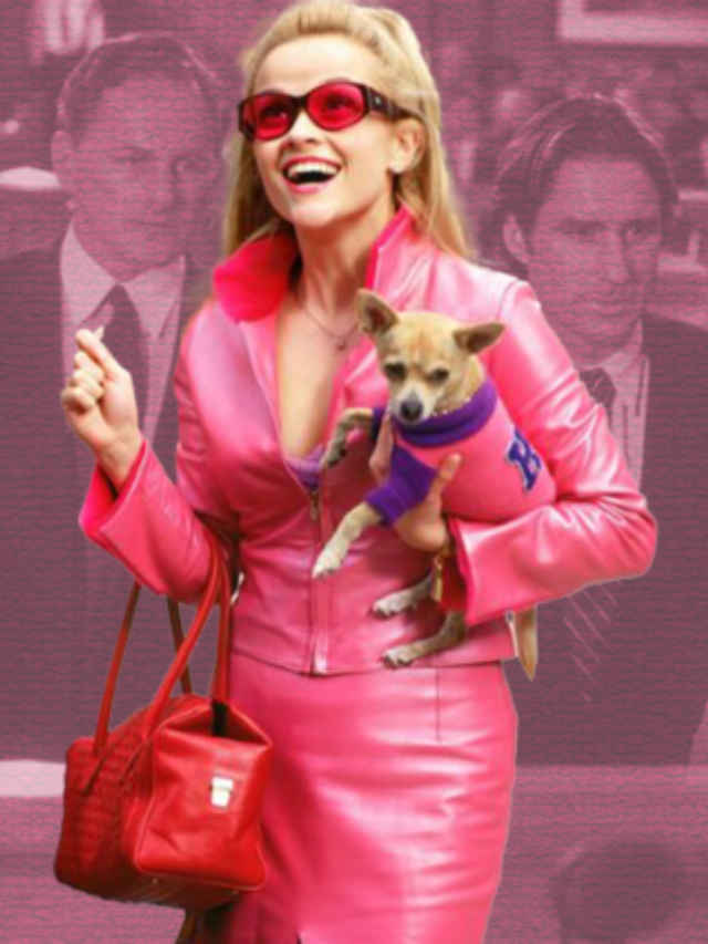7 movies like Legally Blonde you must watch (1)