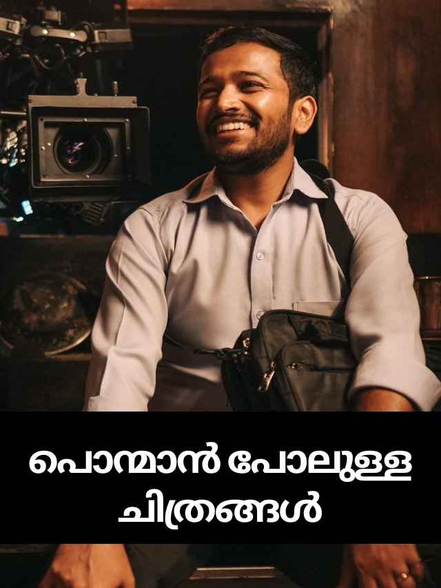 7 movies that are good as ponman with kerala dowry