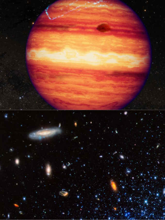 7 web series that are as good as Paatal Lok (6)