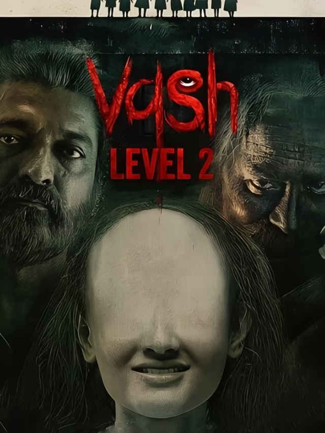 8 movies like Vash Level 2 you must watch (1)