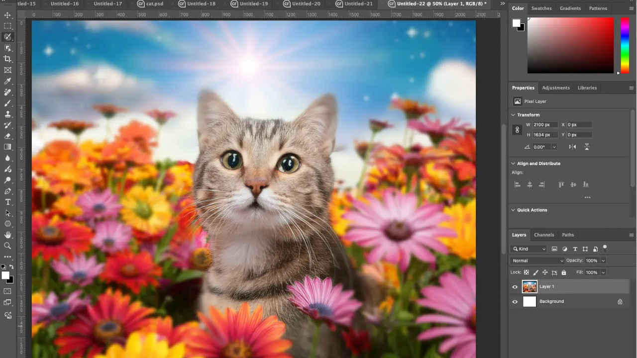 Adobe unveils new features for Illustrator and Photoshop to boost creative workflows