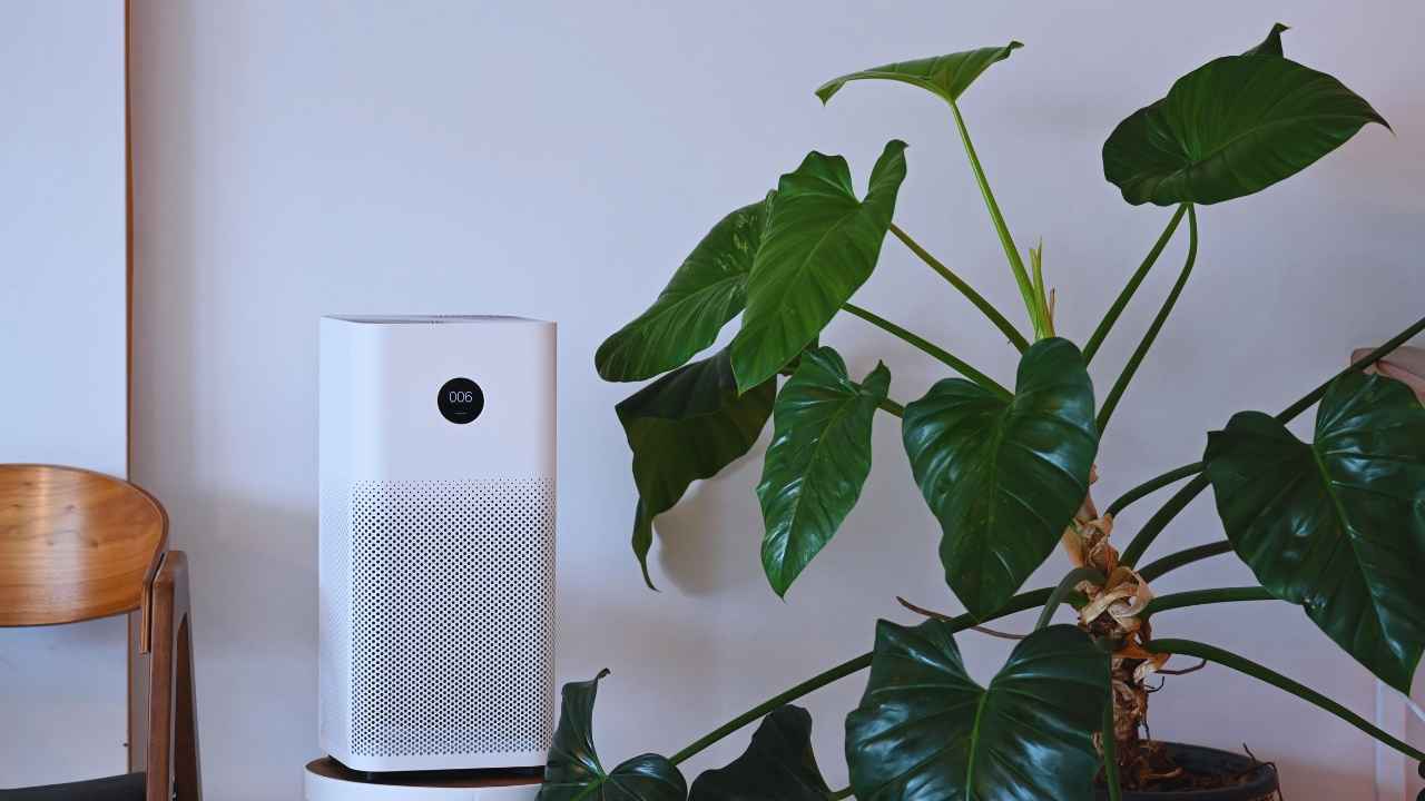 नहीं काम कर रहा Air Purifier? घर पर खुद से ही दूर करें दिक्कत, मिनटों में हो जाएगा काम