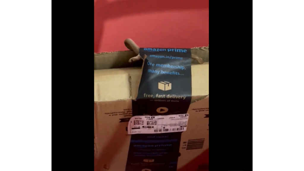 Bengaluru Couple finds Snake in Amazon Package instead of Xbox Controller
