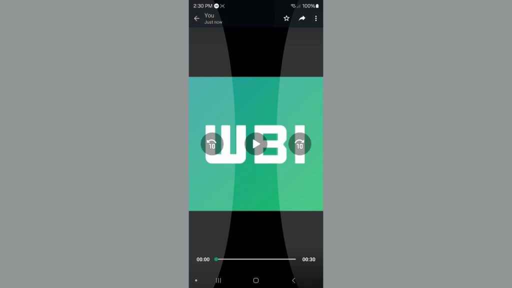 WhatsApp video skip feature 