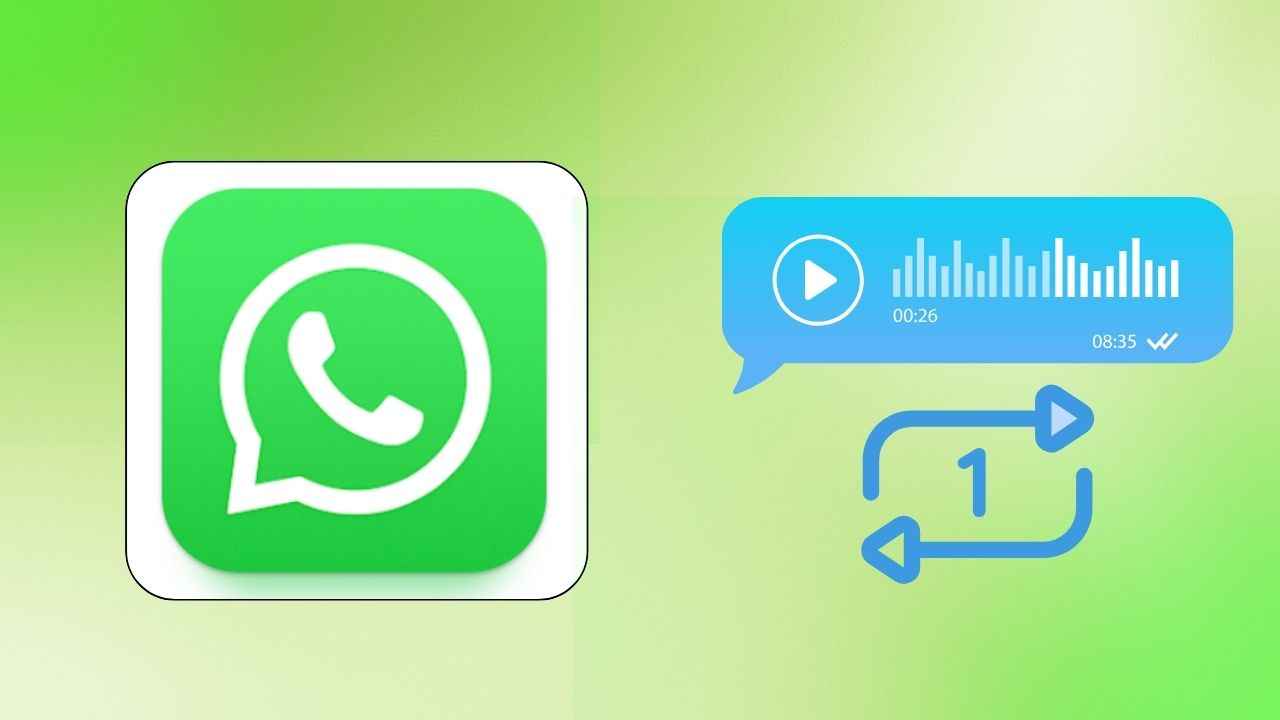 WhatsApp gifs: How to send gifs on WhatsApp – How to search and send animated  gifs | Express.co.uk