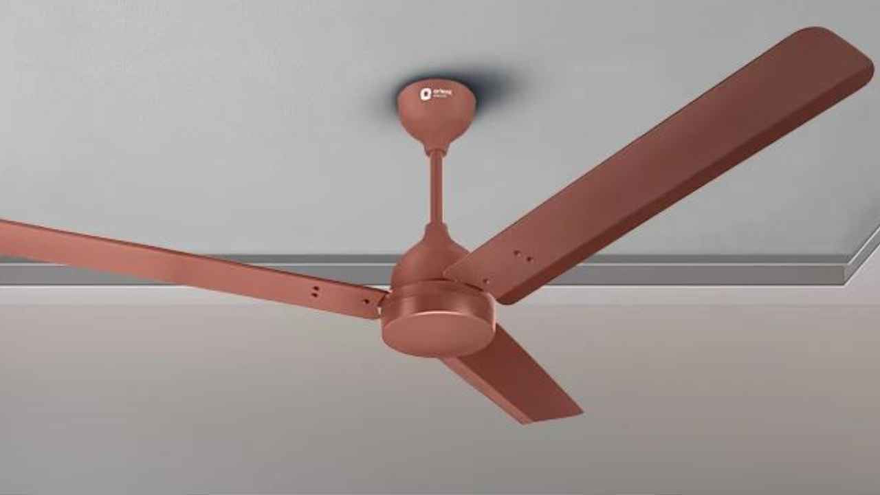 भूल जाइए नॉर्मल पंखे, जमाना आया BLDC फैन का..कम दाम में रूम को बना देंगे हवा-हवाई, खरीदने वक्त रखें इन बातों का ख्याल