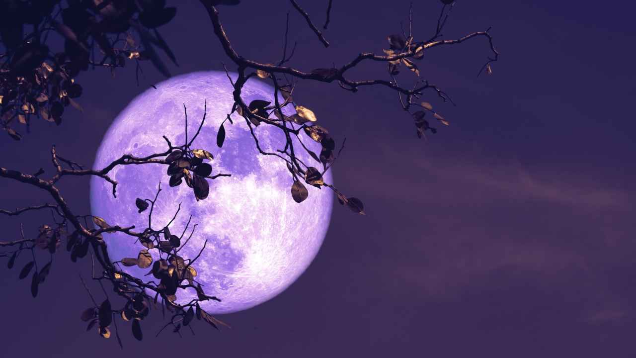 कल कितने बजे दिखेगा गुरु पूर्णिमा का चांद? जानिए क्यों कहा जाता है इसे Buck Moon, डेट-टाइम और बाकी डिटेल्स