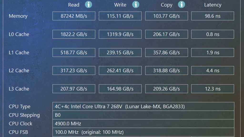 Dell Pro 14 Premium PA14250 AIDA64-Memory