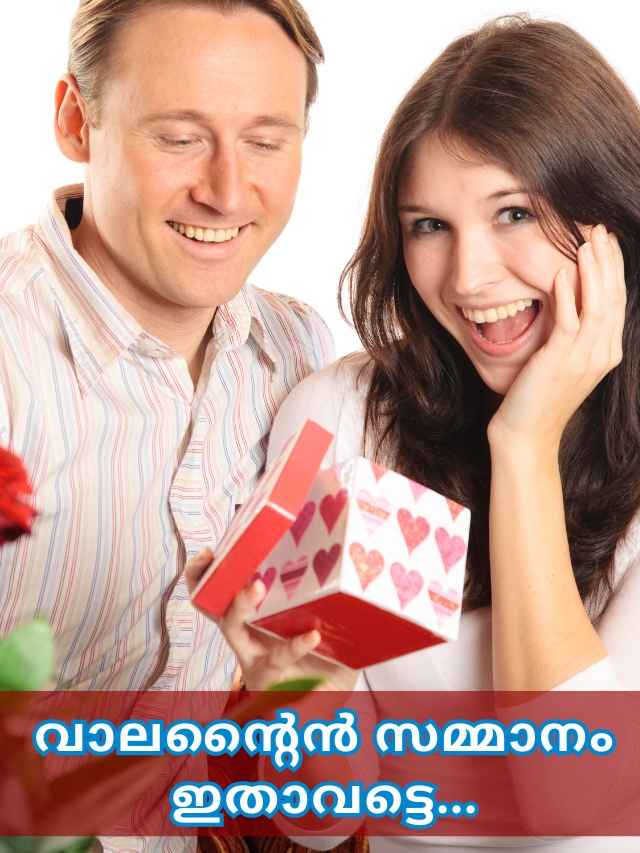 valentines day gift ideas purchase