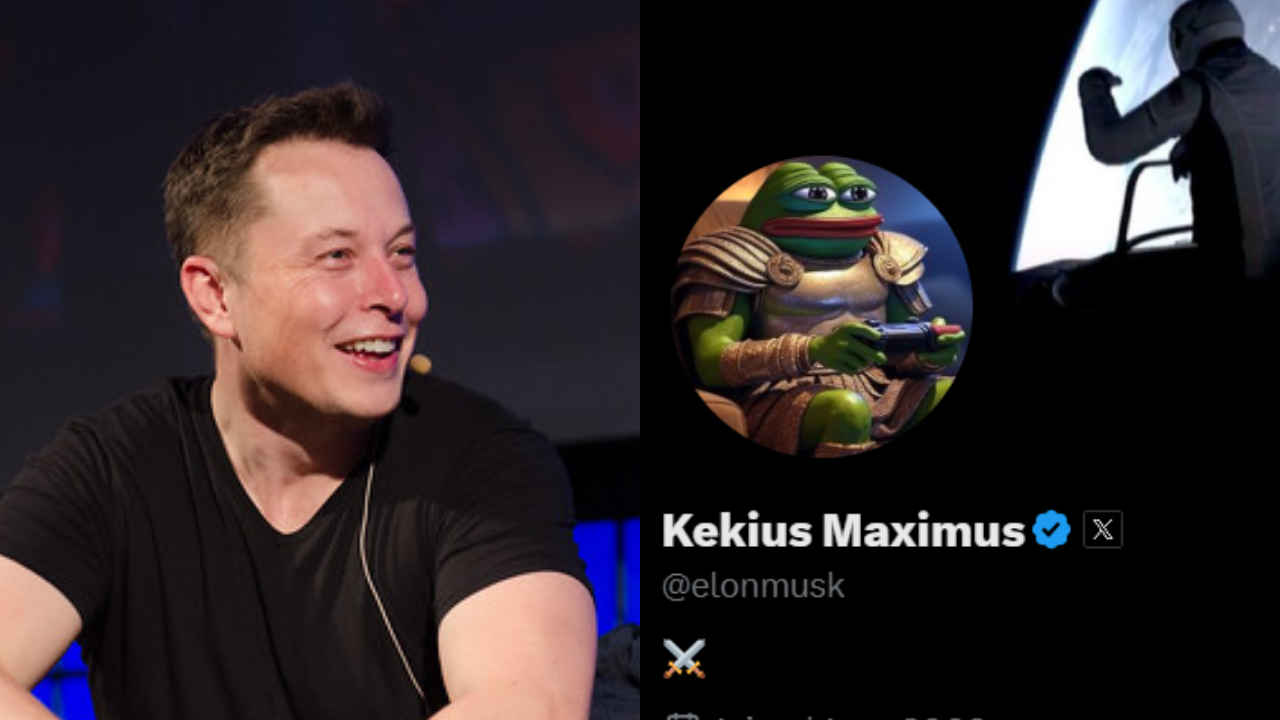 Elon Musk 5