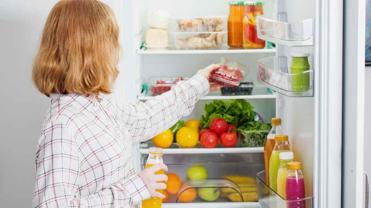 रोज कितनी देर बंद करना चाहिए फ्रिज? ज्यादातर लोग यहीं करते हैं गलती, एक्सपर्ट भी नहीं बताते ये बात