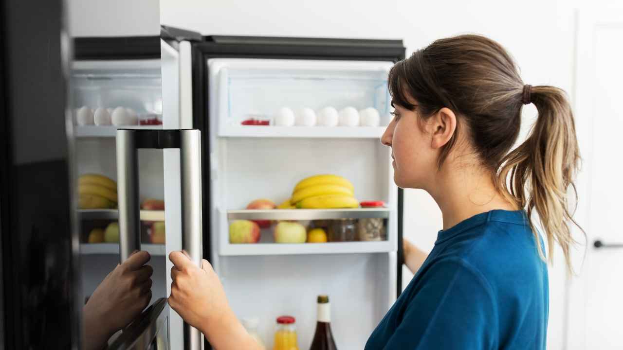 बरसात में फ्रिज चलाने का सही तरीका, ज्यादातर लोग अनजान, इस एक गलती से हो जाएगा खराब