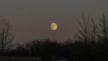Wolf Moon 2025: When and how to watch the first full moon of the year