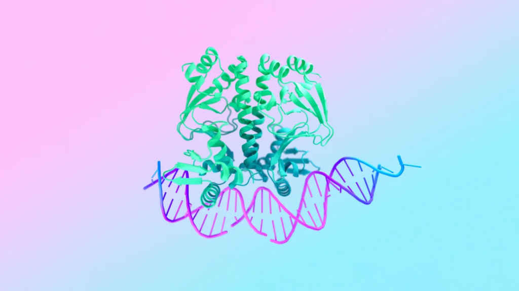 Google Deepmind's new AlphaFold 3 AI can model proteins, DNA & RNA: Details here