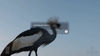 Google unveils Genie 4, an AI model that can create realistic virtual worlds with sound and physics