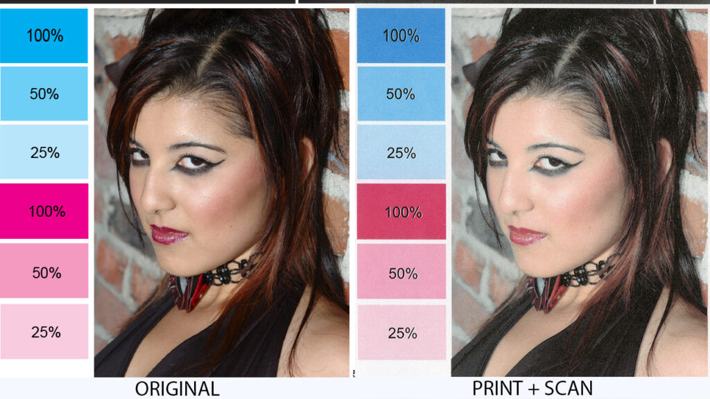 HP DeskJet 4388 Skin Tones