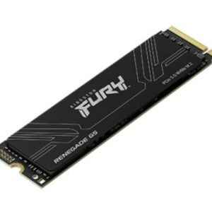 Kingston Renegade G5