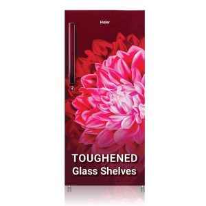 Haier 190 L 3-Star Single Door Refrigerator (HED-203RD-P)