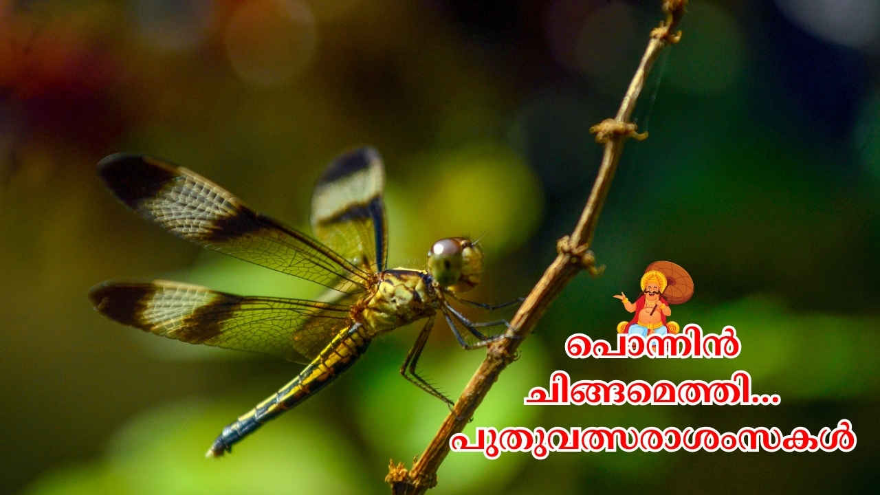 Happy New Year Wishes in Malayalam: ഇന്ന് ചിങ്ങം 1! പൊന്നോണം വരവായി, പ്രിയപ്പെട്ടവർക്ക് പുതുവർഷത്തിൽ ആശംസകൾ അറിയിക്കാം, മനോഹരമായി…