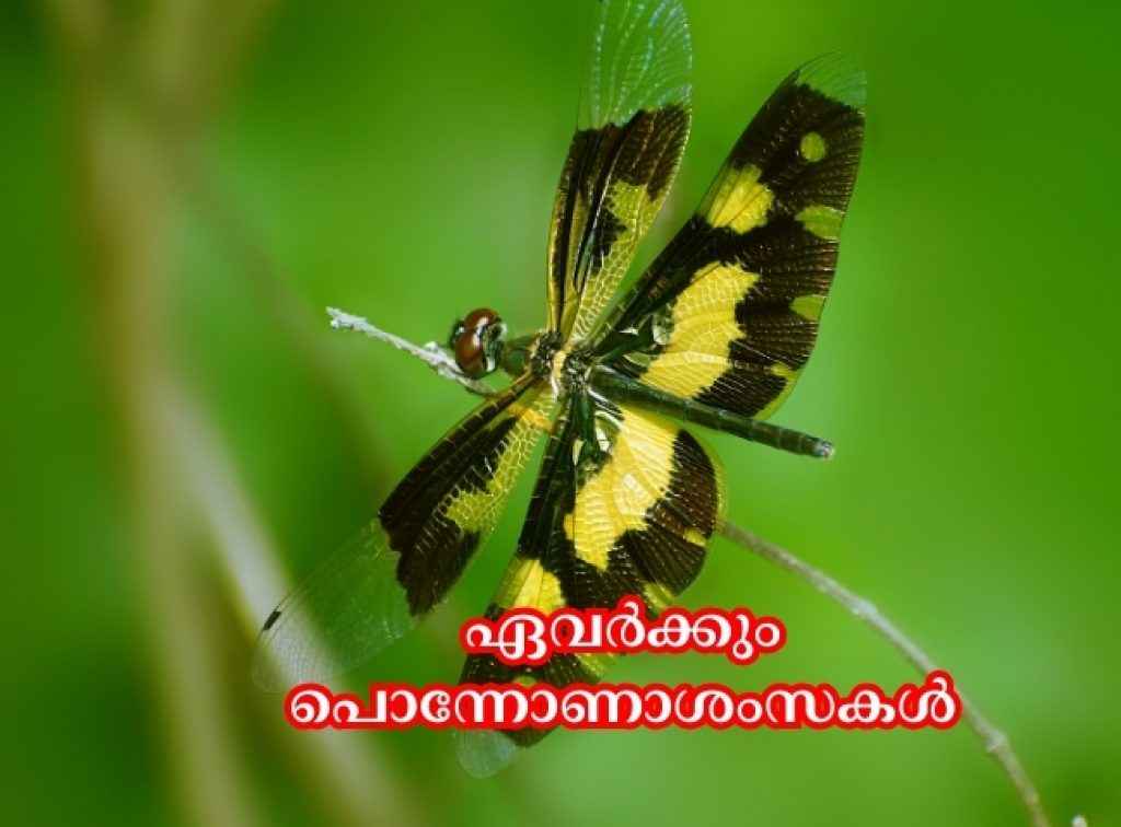 ഹൃദയം നിറഞ്ഞ ഓണാശംസകൾ!