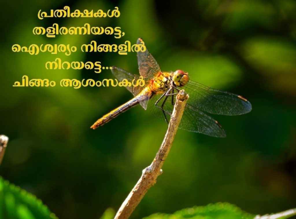 Happy New Year Wishes in Malayalam