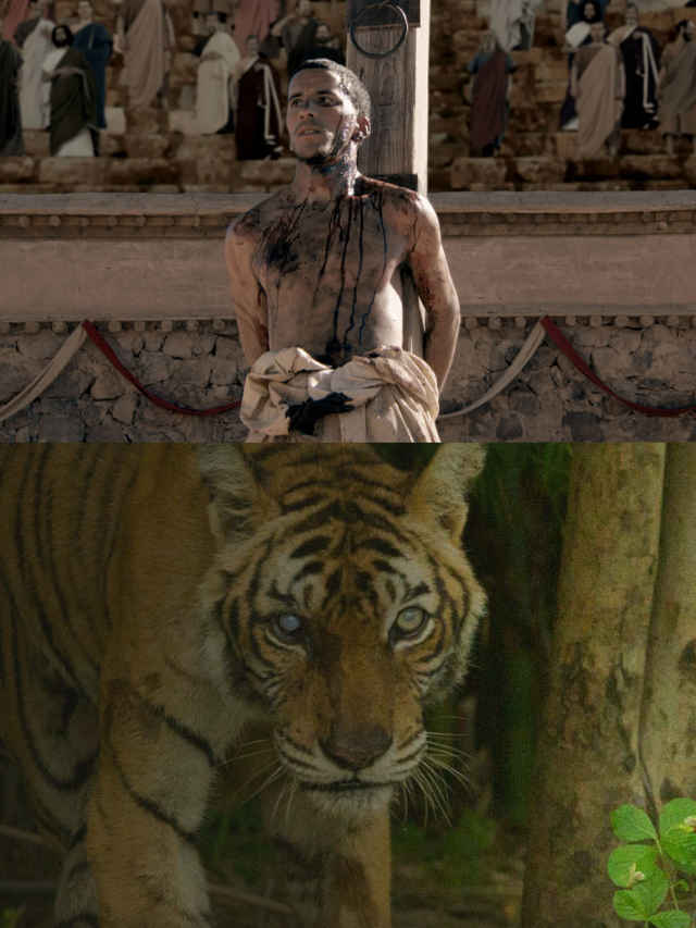 Mission Impossible (35)