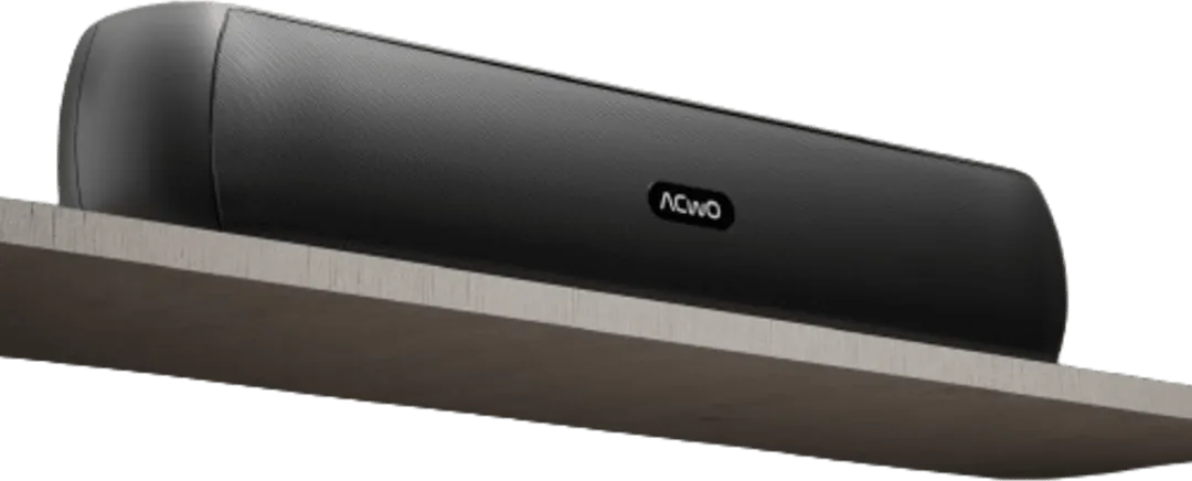 ACwO CARNIwAL 101 14W Bluetooth Speaker
