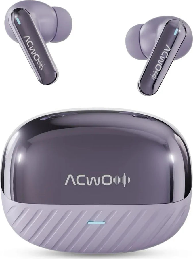 ACwO DwOTS 333 True Wireless Earbuds