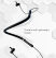 Ambrane BassBand Pro Wireless Neckband