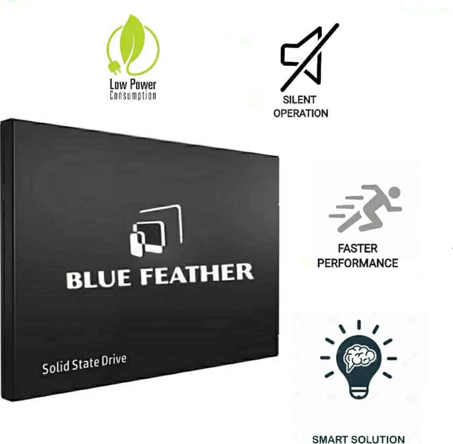 Blue Feather BF9SSD256S 256GB Internal Solid State Drive