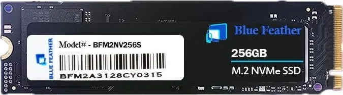 Blue Feather BFM2NV256S 256GB Internal Solid State Drive