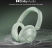 boAt Rockerz 650 Pro Wireless Headphones