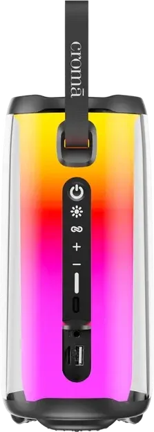 Croma CRSP010BPE301506 10W Bluetooth Speaker