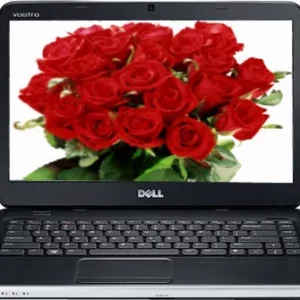 Dell Vostro 2420 Laptop (2nd Gen Ci3/ 2GB/ 500GB/ Win8)