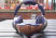 Dyson Zone Absolute Wireless Headphones