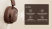 Edifier ES850NB Wireless Headphones