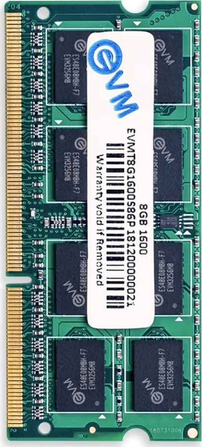 EVM EVMT8G1600S86P 8 GB DDR3-1600 Laptop RAM