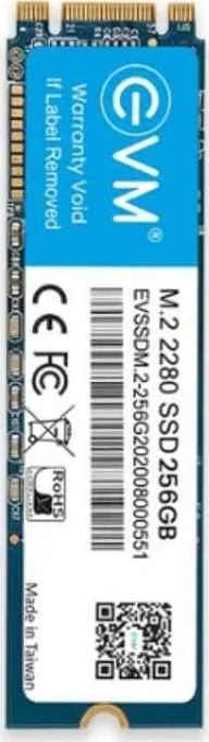 EVM EVSSDM.2 256 GB Internal Solid State Drive