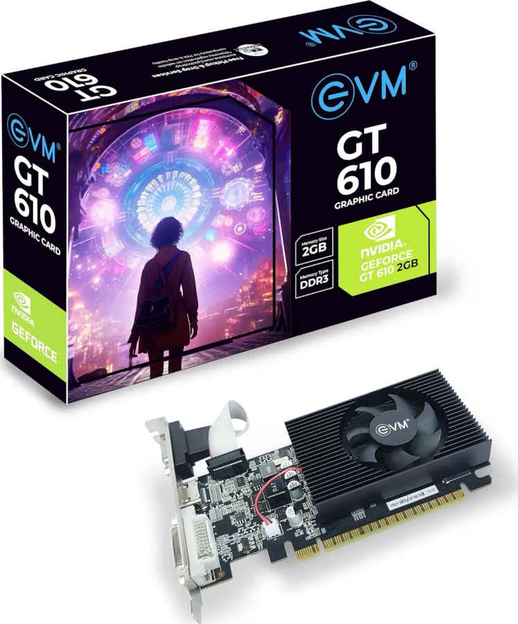 EVM NVIDIA GeForce GT 610 2 GB DDR3 Graphics Card