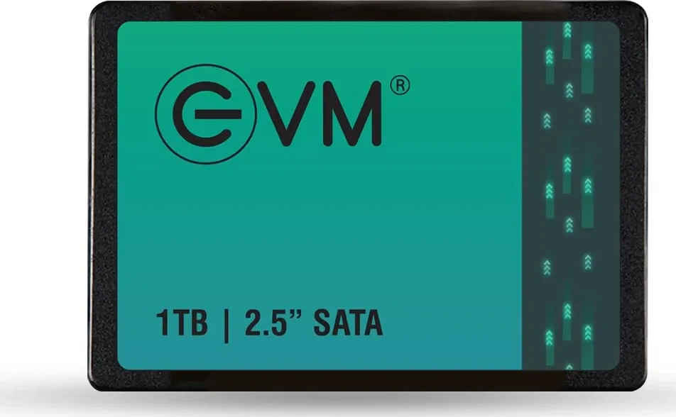 EVM SATA 1 TB Internal Solid State Drive