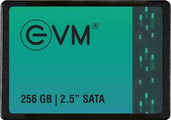 EVM SATA 256 GB Internal Solid State Drive
