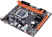 Force F81 Motherboard