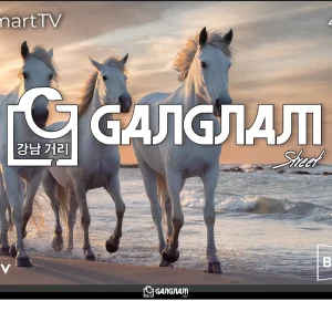 Gangnam Street SMTGG43FHDEK 43 inch Full HD Smart LED TV