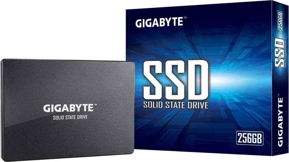 Gigabyte GP-GSTFS31256GTND 256GB Internal Solid State Drive
