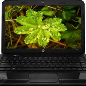 HP Pavilion 1000-1B02AU Laptop (APU Dual Core/ 2GB/ 320GB/ DOS)